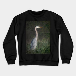 Great Blue Heron Portrait Crewneck Sweatshirt